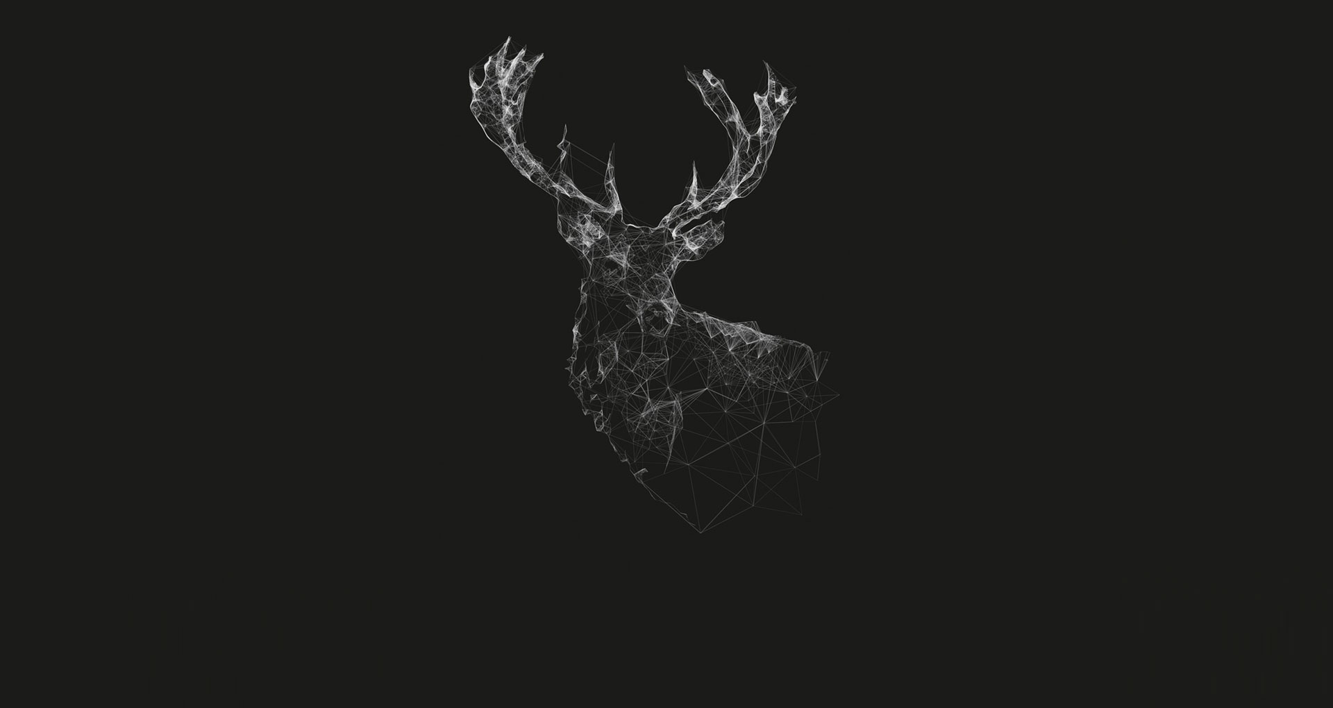 slider6